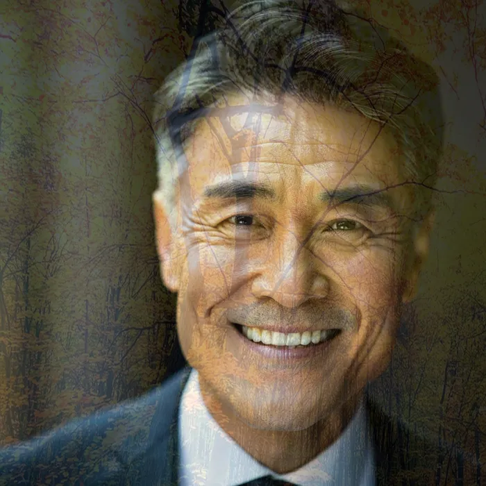 신용불량자사면