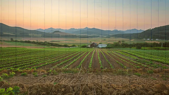 개인회생파산신청