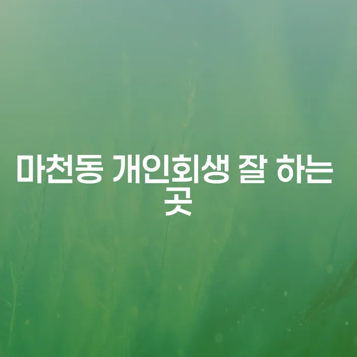 마천동 개인회생 잘 하는 곳