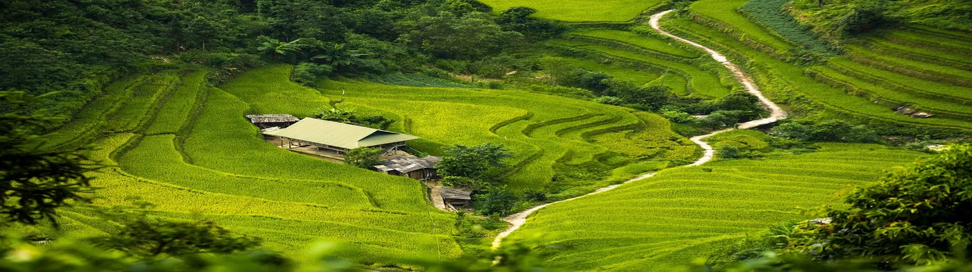 법무법인 서앤율