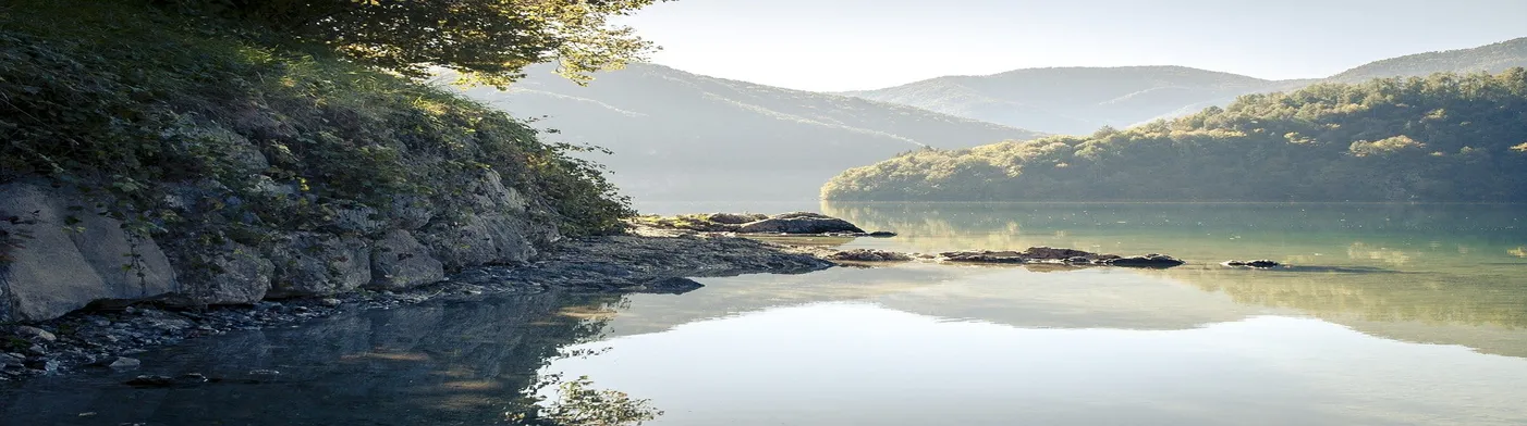 법무법인 서앤율