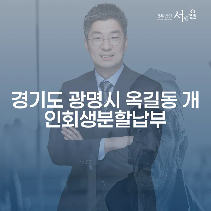 경기도 광명시 옥길동 개인회생분할납부, 어떻게 신청해야 할까?
