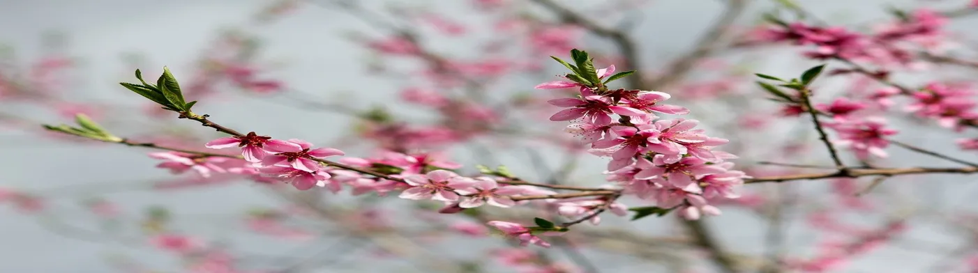 법무법인 서앤율